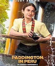 Paddington in Peru 2024