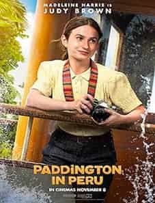 Paddington in Peru 2024